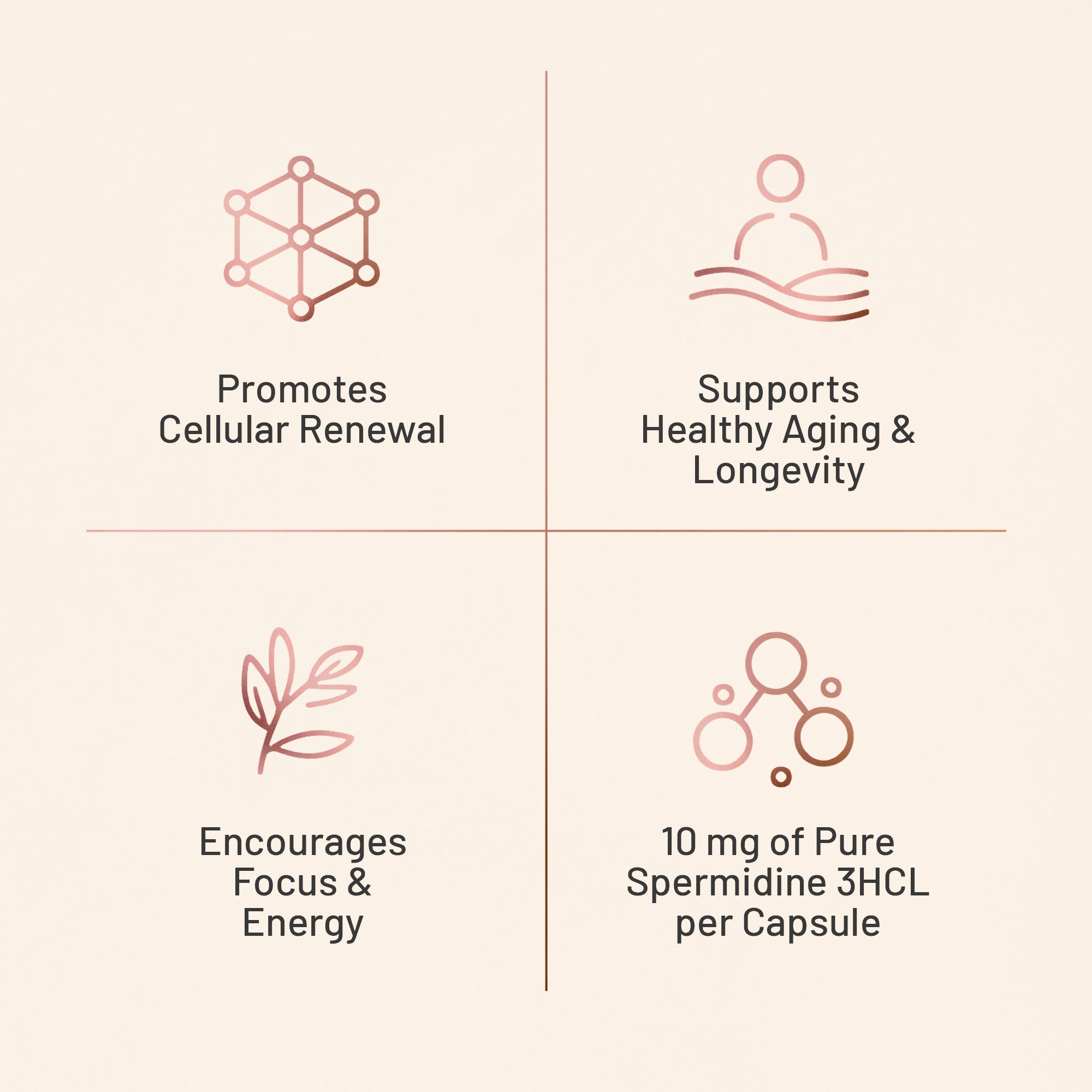 SUNAURA Spermidine 3HCL Capsules – Cellular Health, Longevity & Autophagy Support