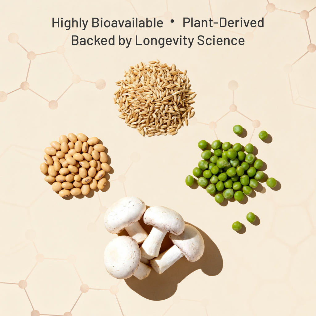 SUNAURA Spermidine 3HCL Capsules – Cellular Health, Longevity & Autophagy Support